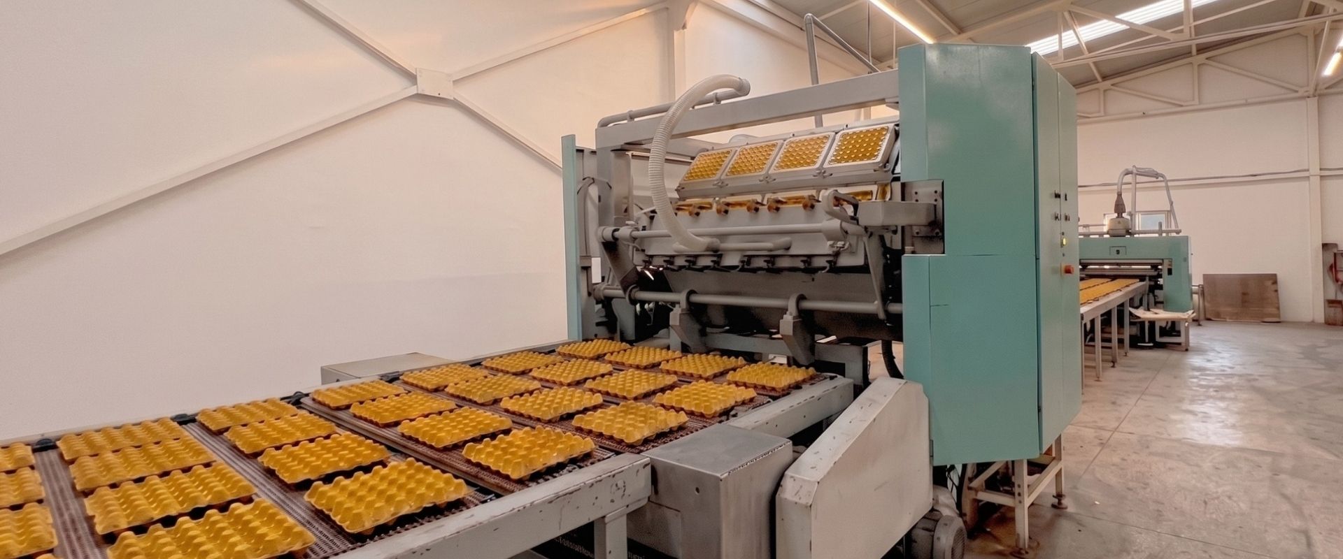 Askay production facility floor with pulp molding lines in operation
